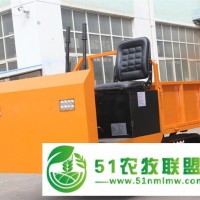 履帶車廠家小型履帶運(yùn)輸車機(jī)動(dòng)靈活