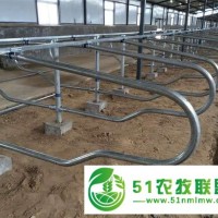 雙面標(biāo)準(zhǔn)熱鍍鋅鋼管牛臥床供貨商