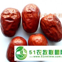 新疆大棗廠家代加工