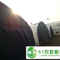 圓拱棚保溫被加工