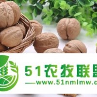 堅果進口報關(guān)-越南開心果進口報關(guān)代理