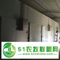 核桃、花生、堅(jiān)果冷庫(kù)設(shè)計(jì)建造