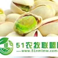 伊拉克開心果上海進口報關(guān)代理中心電話