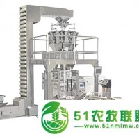 四川銀杏果包裝機、重慶白果包裝機