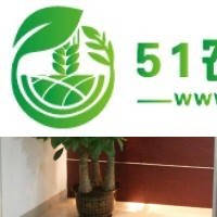 腰果進(jìn)口報關(guān)代理