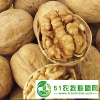 供電商平臺(tái)社區(qū)團(tuán)購(gòu)地?cái)傂陆颂覐S家一手貨源