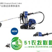 韓國現(xiàn)代進(jìn)口割草機(jī)HYUNDAI割灌機(jī)X4036除草機(jī)日本進(jìn)口