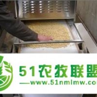 供應(yīng)微波腰果烘焙烘烤機