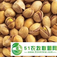 供應(yīng)中東開心果廣州進(jìn)口報關(guān)至廣東各地區(qū)