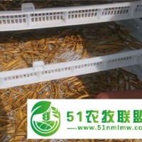 湖南黃花菜烘干機(jī)械-河南國(guó)信機(jī)械(在線咨詢)-黃花菜烘干機(jī)械
