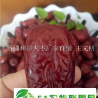 誠信新疆大棗廠家供應商
