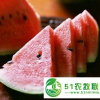 供應(yīng)西瓜