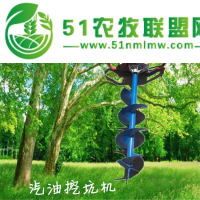 大功率汽油地鉆機(jī) 鉆洞挖坑機(jī) 打孔機(jī)大棚果樹施肥鉆坑機(jī)