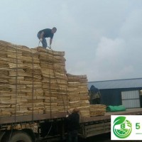 甘南縣林木種植*合作社，齊齊哈爾甘南縣林木種植*合作社，齊齊哈爾*的林木種植業(yè)