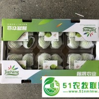 代收批發(fā)威海青皮無花果秋果新鮮