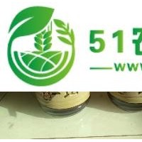 唐山油莎豆長期供應