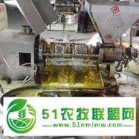 100型條排榨油機(jī)可以選擇攀奇