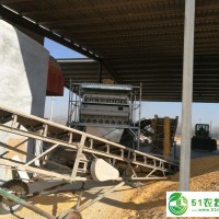 玉米色選機(jī)