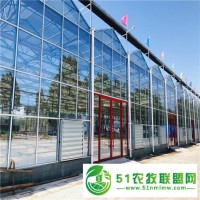 玻璃溫室大棚 光照均勻骨架堅實