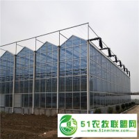 陽(yáng)光板溫室大棚 大棚造價(jià) 溫室建設(shè) 廠家** 金德鑫溫室