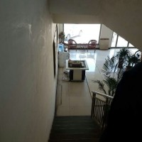 河北省哪家種植室內(nèi)好