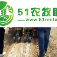 廠家**田耐爾油菜移栽機(jī)，價(jià)錢便宜，質(zhì)量好