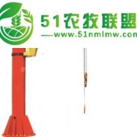 電動平衡吊-卡車升降平臺