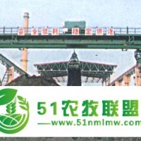 供應雙梁抓斗橋式起重機、門式起重機、起重機維修