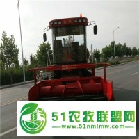 內(nèi)蒙**青儲機價格