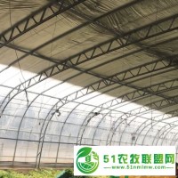丞昊農(nóng)業(yè)生產(chǎn) 批發(fā) 大棚骨架 C型鋼骨架大棚 雙膜骨架大棚 雙梁溫室骨架