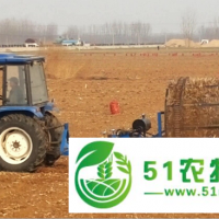 洋姜，太子參收獲機(jī)，禹城亞泰機(jī)械**產(chǎn)品