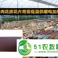 多肉花房取暖電熱板暖房溫室大棚加溫設(shè)備花卉育苗低溫供暖電加熱板