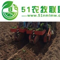 樂(lè)陵天馬2zq系列蔬菜多功能移栽機(jī)價(jià)格與圖片