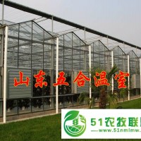 山東五合玻璃溫室