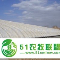 承建溫室大棚121