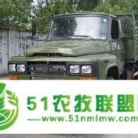 東風(fēng)四驅(qū)尖頭越野卡車供應(yīng)，4x4驅(qū)動(dòng)沙漠越野車報(bào)價(jià)出口，四驅(qū)尖頭越野車價(jià)格圖片