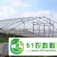 單體溫室大棚