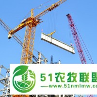 河南塔吊租賃報價_為您****好的塔式起重機(jī)租賃