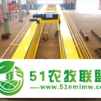 雙梁起重機|山東雙梁起重機銷售商|魯新起重機