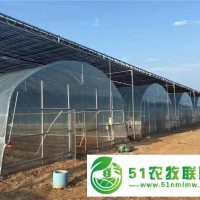 圓拱薄膜溫室 薄膜蔬菜大棚 高質(zhì)量 高信用