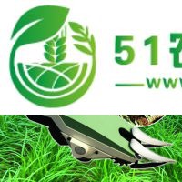 新明悅機(jī)械較新研發(fā)的韭菜收割機(jī) 廠家** 誠招各地經(jīng)銷商