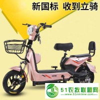 臨沂新標(biāo)準(zhǔn)電動(dòng)車生產(chǎn)批發(fā)廠家電話