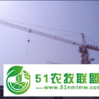 甘南縣塔式起重機(jī)**企業(yè),金昌塔機(jī)租用