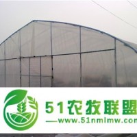 廠家**！批發(fā)價(jià)！質(zhì)量優(yōu)！單體大棚、拱形大棚、蔬菜大棚、農(nóng)用大棚、春秋大棚