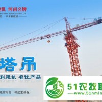昌利建機(jī)塔式起重機(jī)塔吊廠家