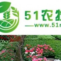 衡水較*較**的溫室大棚建設(shè) 衡水較可靠較受歡迎的生態(tài)餐廳建設(shè)