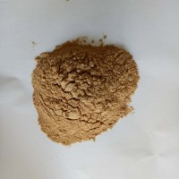 側(cè)孢芽孢桿菌