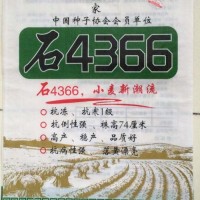 河南彩印編織袋**