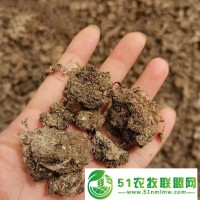 有機(jī)肥 干雞糞常年收購