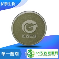 哈茨木霉20億 山東長泰生物微生物菌劑